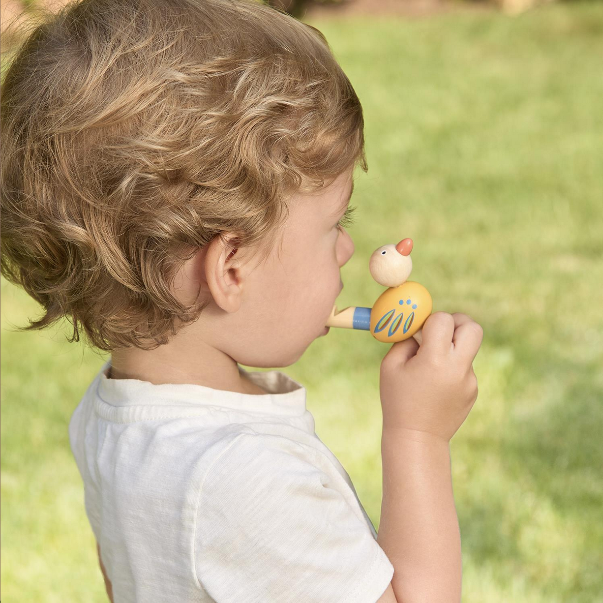 Hand-Crafted Wooden Bird Whistle