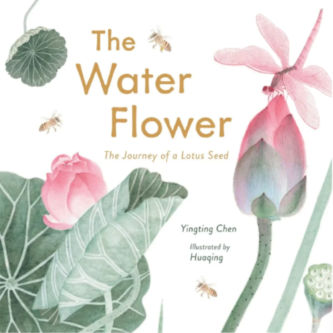 The Water Flower: The Journey of a Lotus Seed