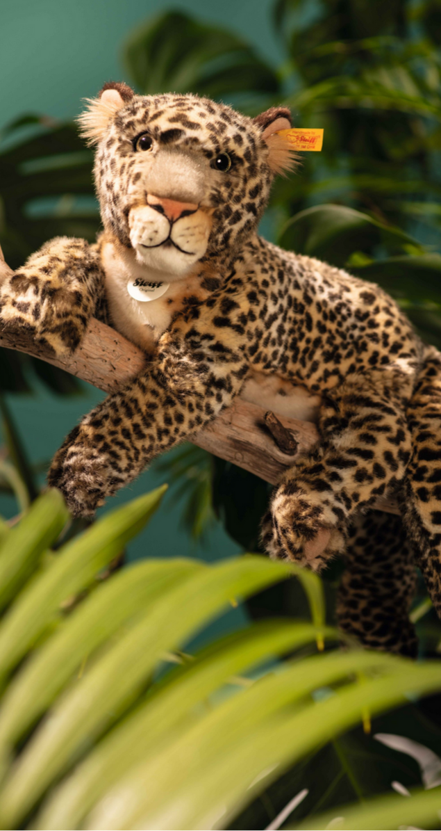 Parddy Leopard -website exclusive