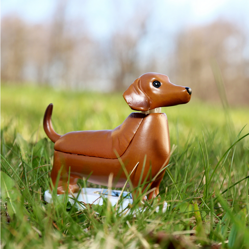 Solar Dachshund