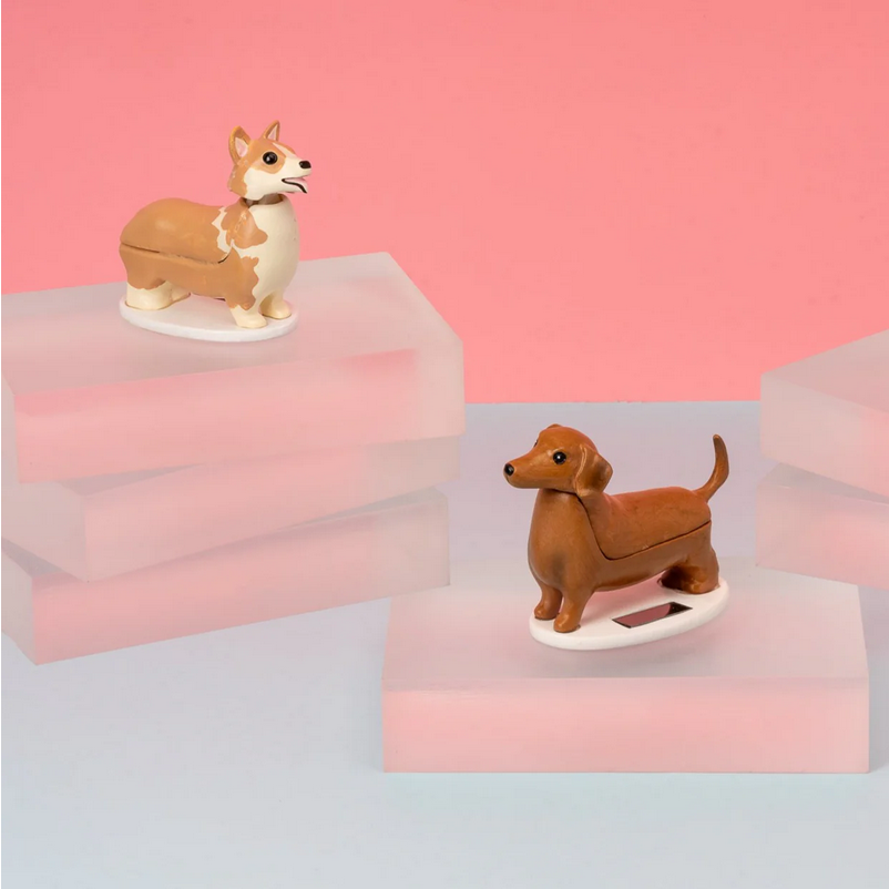 Solar Dachshund