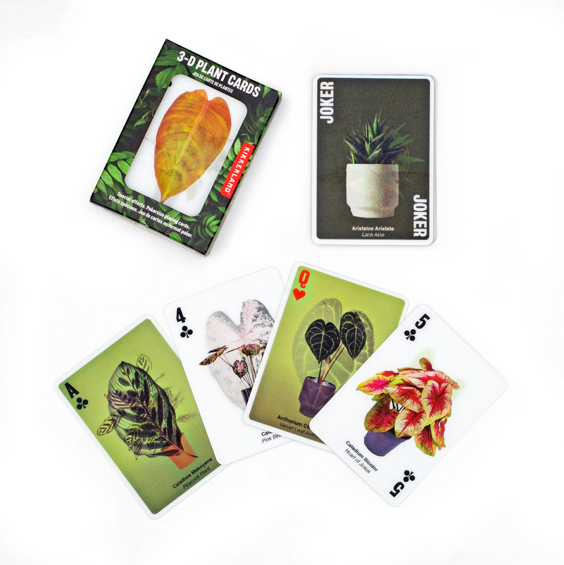 3-D Plant Cards