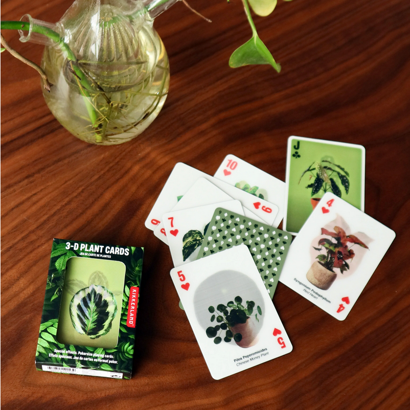 kikkerland money tree 3-D Plant Cards – TANTRUM
