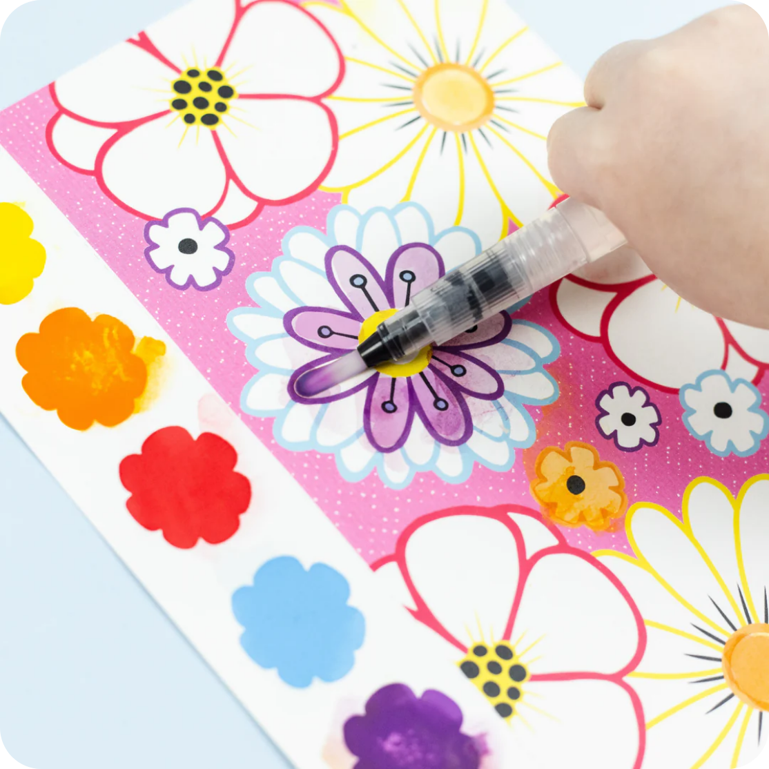 Paint a Picture Set - Butterflies & Flowers