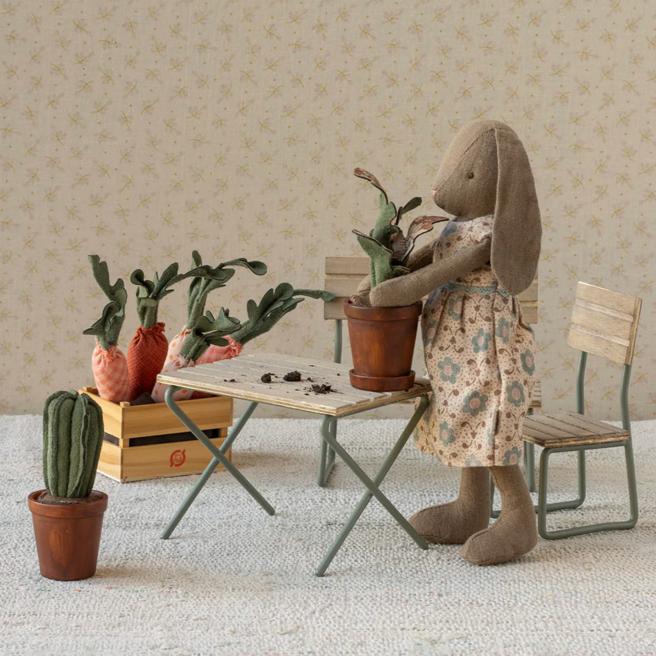 Flower pot with cactus- Miniature