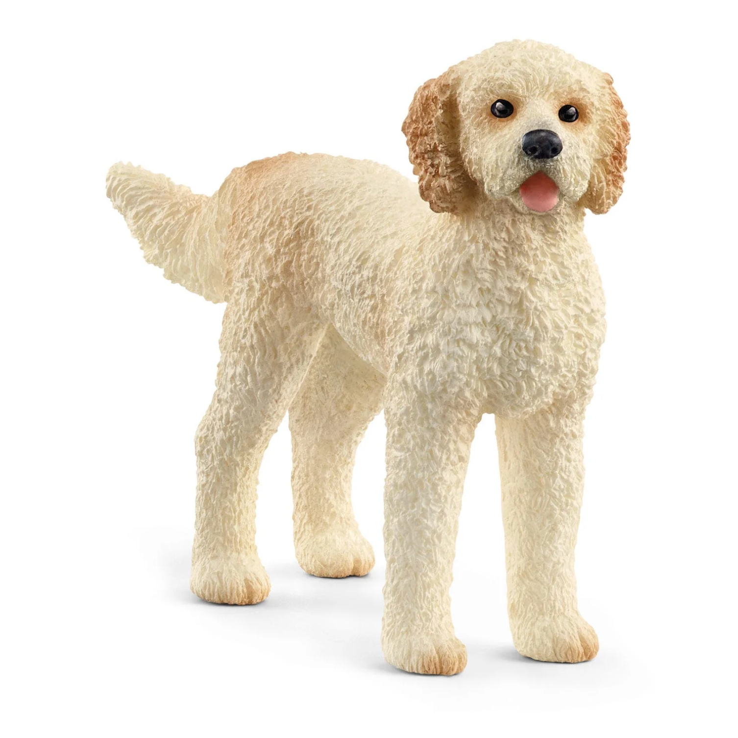 Goldendoodle
