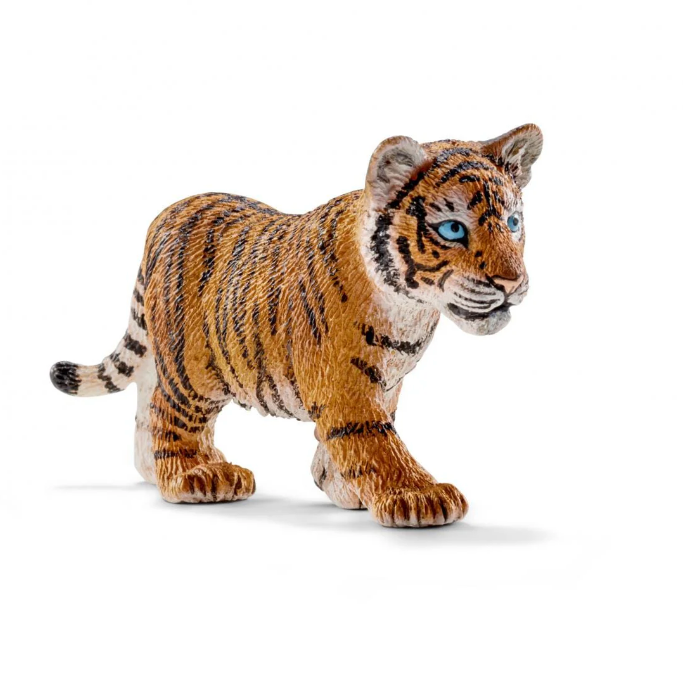 Tiger Cub