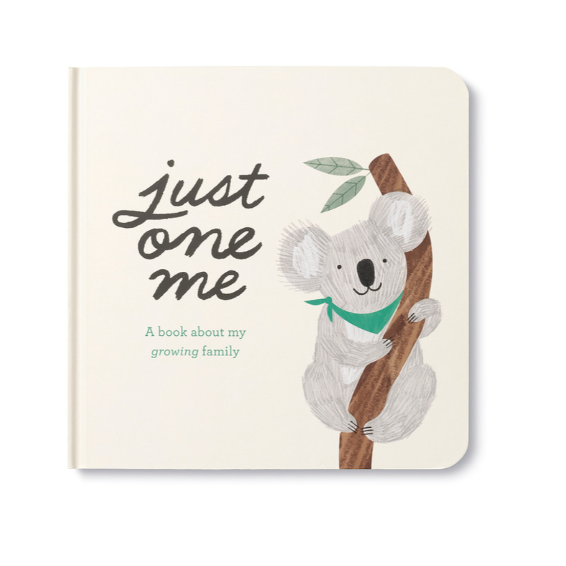 Just One Me -A Big Sibling Gift Set