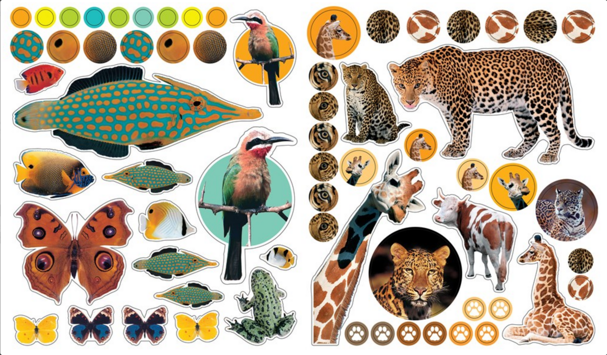 Collection of animal stickers including a leopard, fish, birds, and giraffe on a white background.