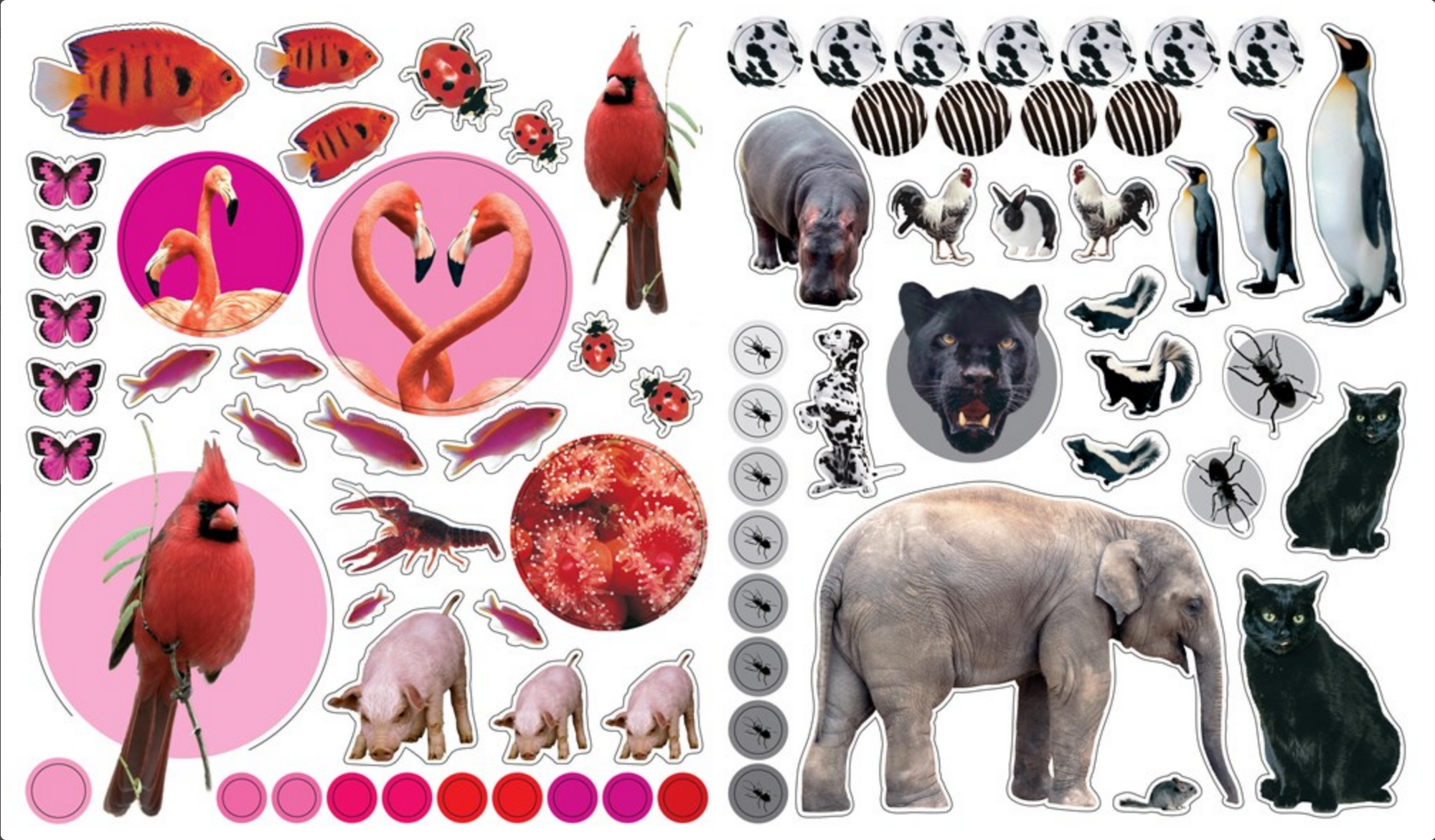 Collection of animal stickers on a white background
