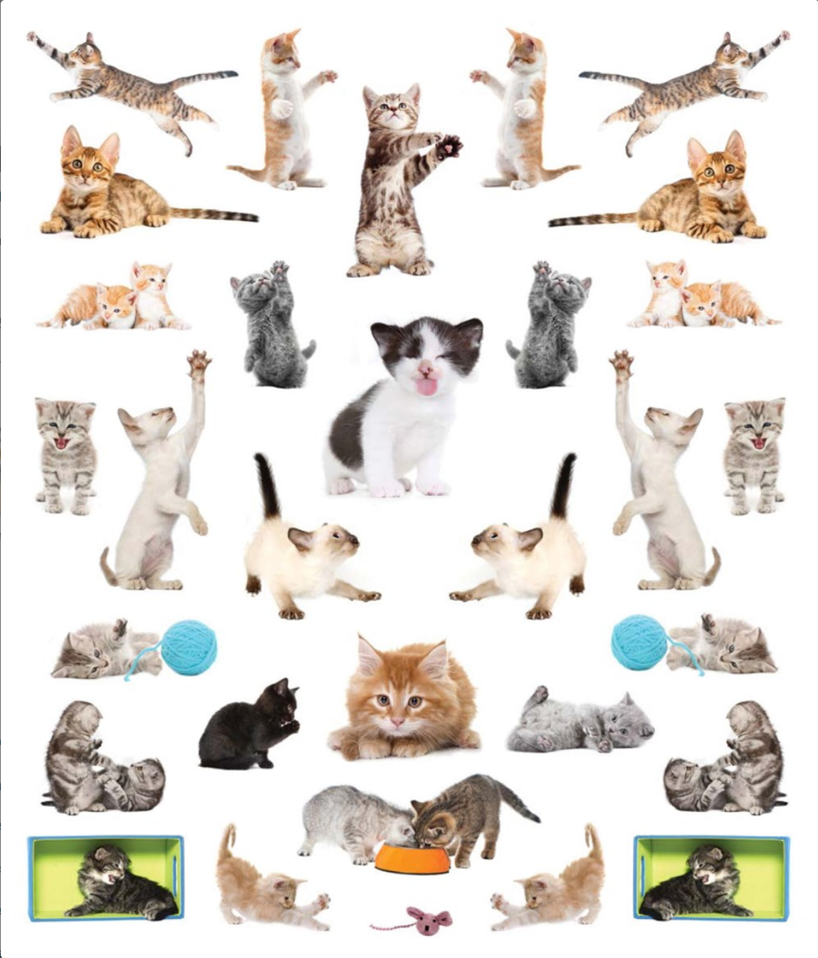 Eyelike Stickers: Kittens