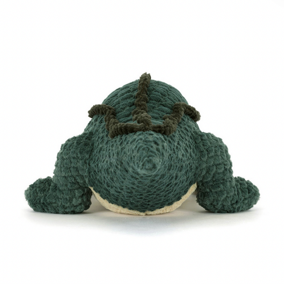 Allexi Alligator