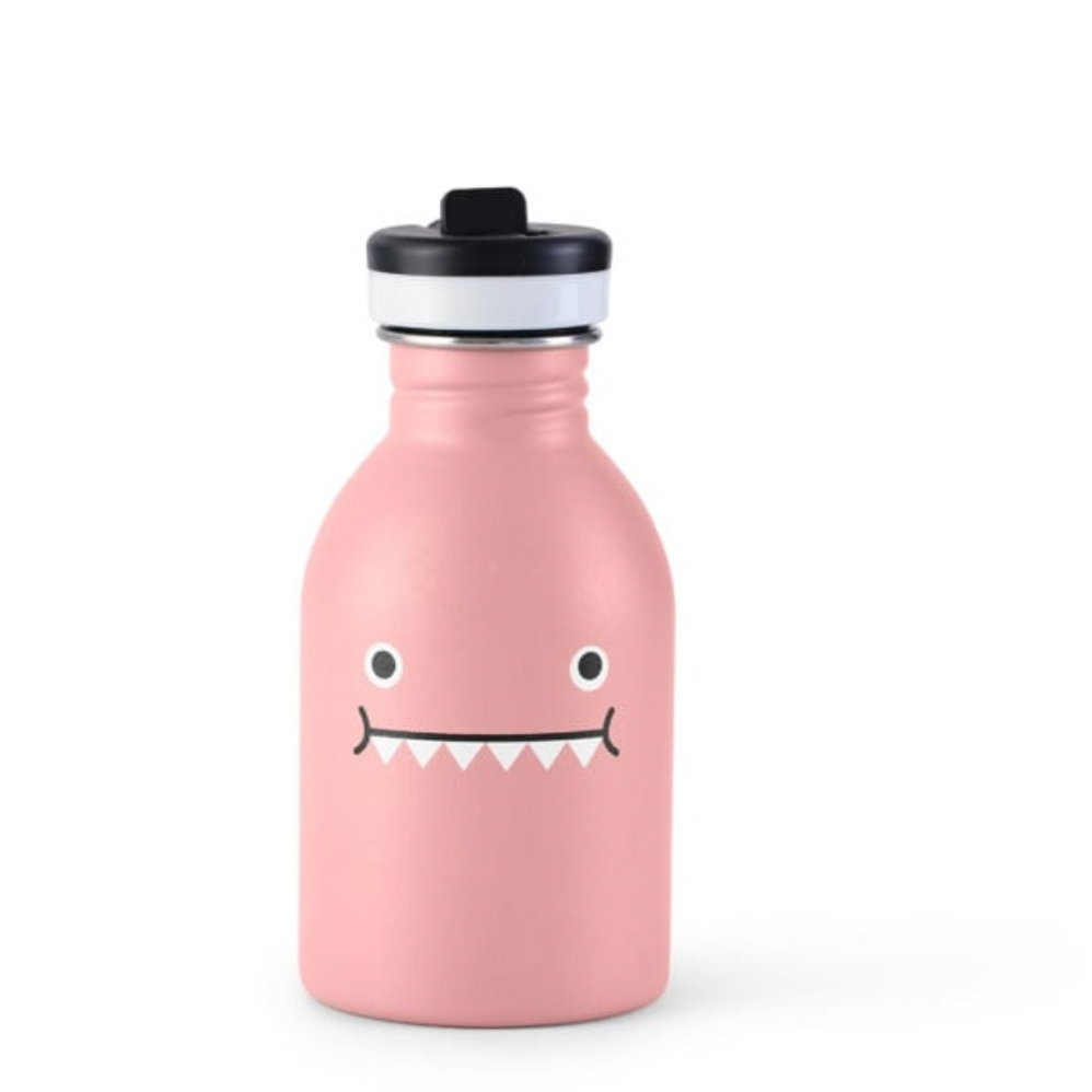 Stainless Steel Bottle -Miss Dino -rose