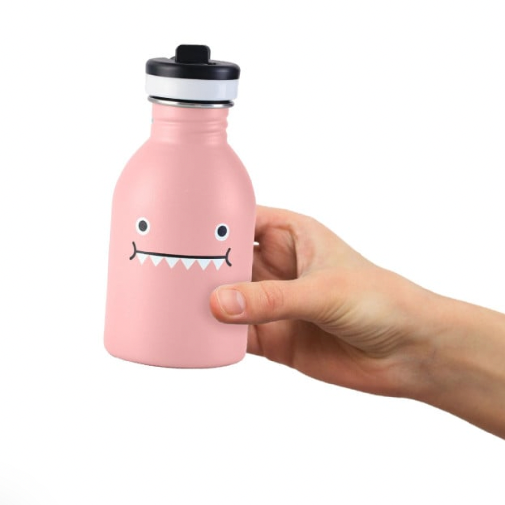 Stainless Steel Bottle -Miss Dino -rose