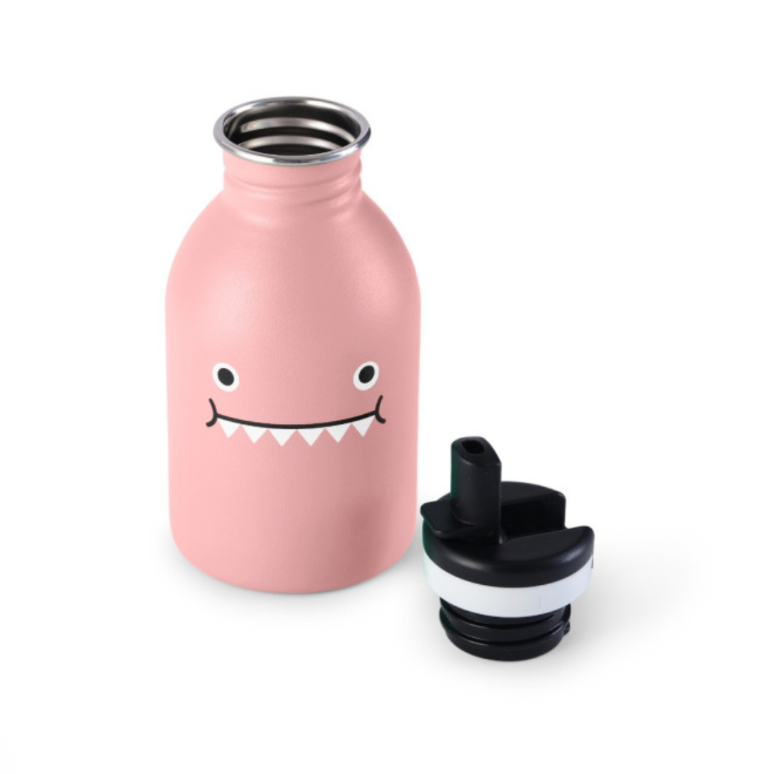 Stainless Steel Bottle -Miss Dino -rose