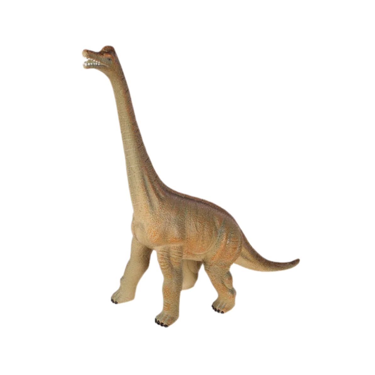 Dinosaur toy on a white background