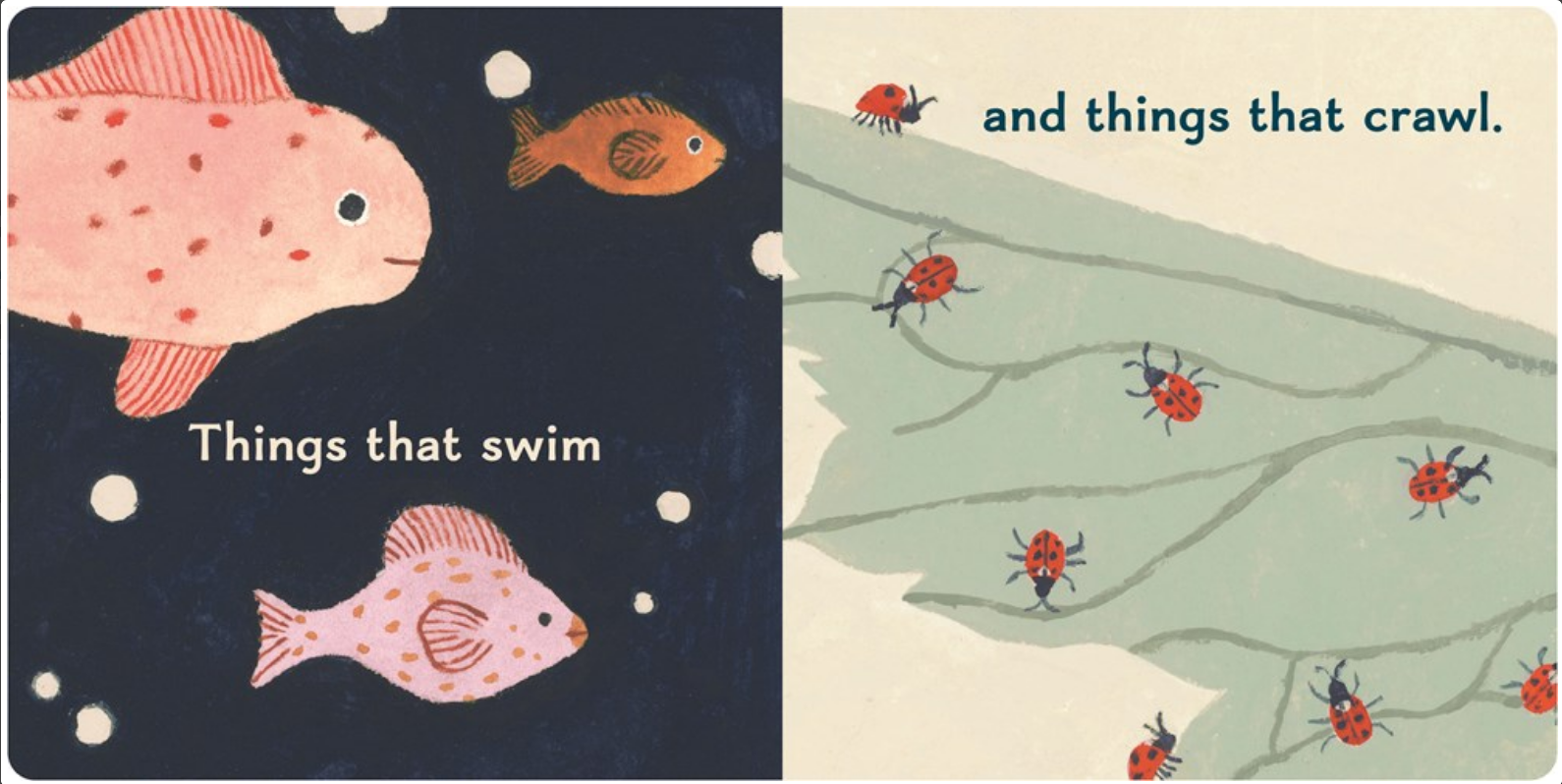 Two illustrations of fish and insects on a book page.