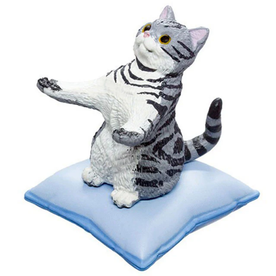 The Cat Will Hold It For You – Random cat Holder Figure box