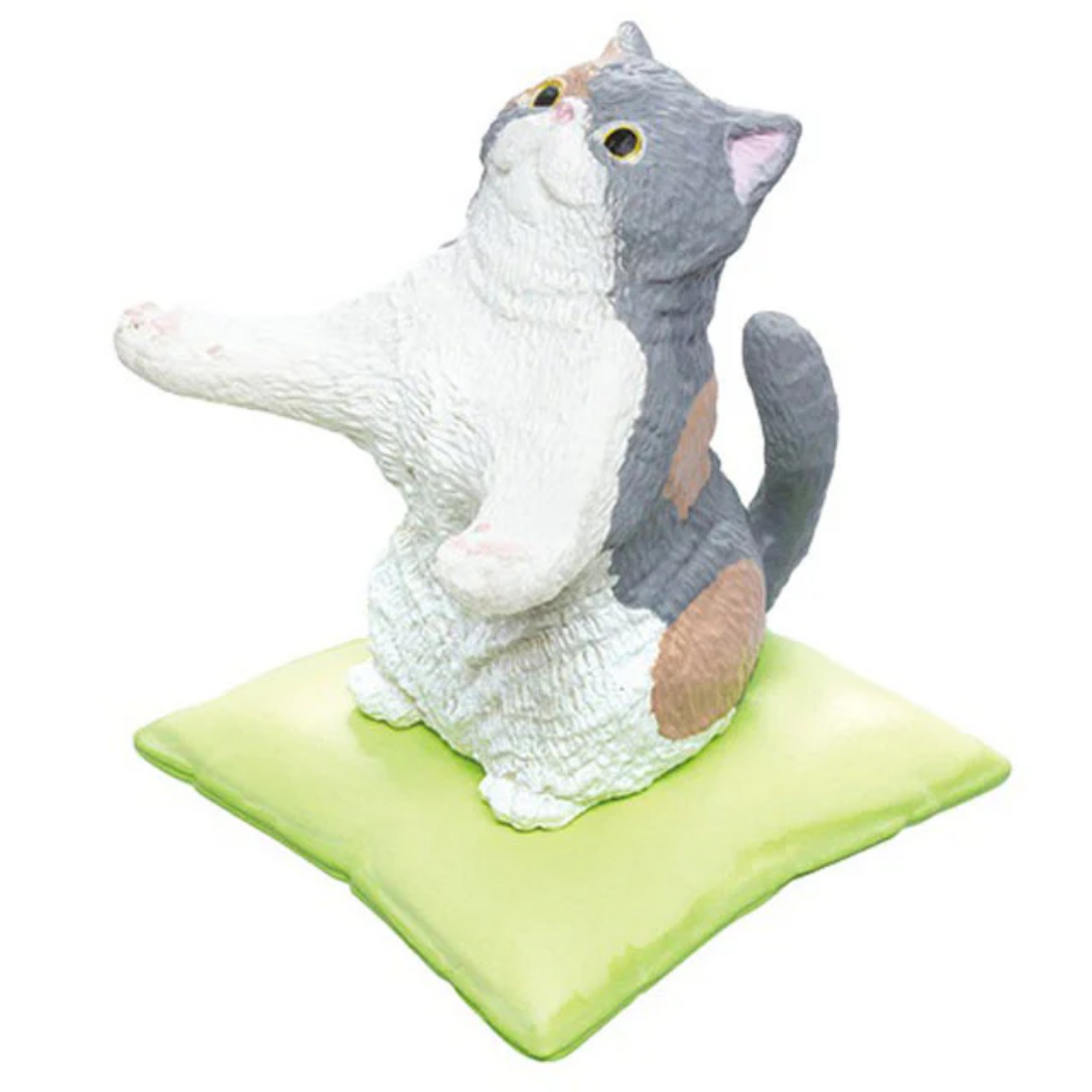 The Cat Will Hold It For You – Random cat Holder Figure box