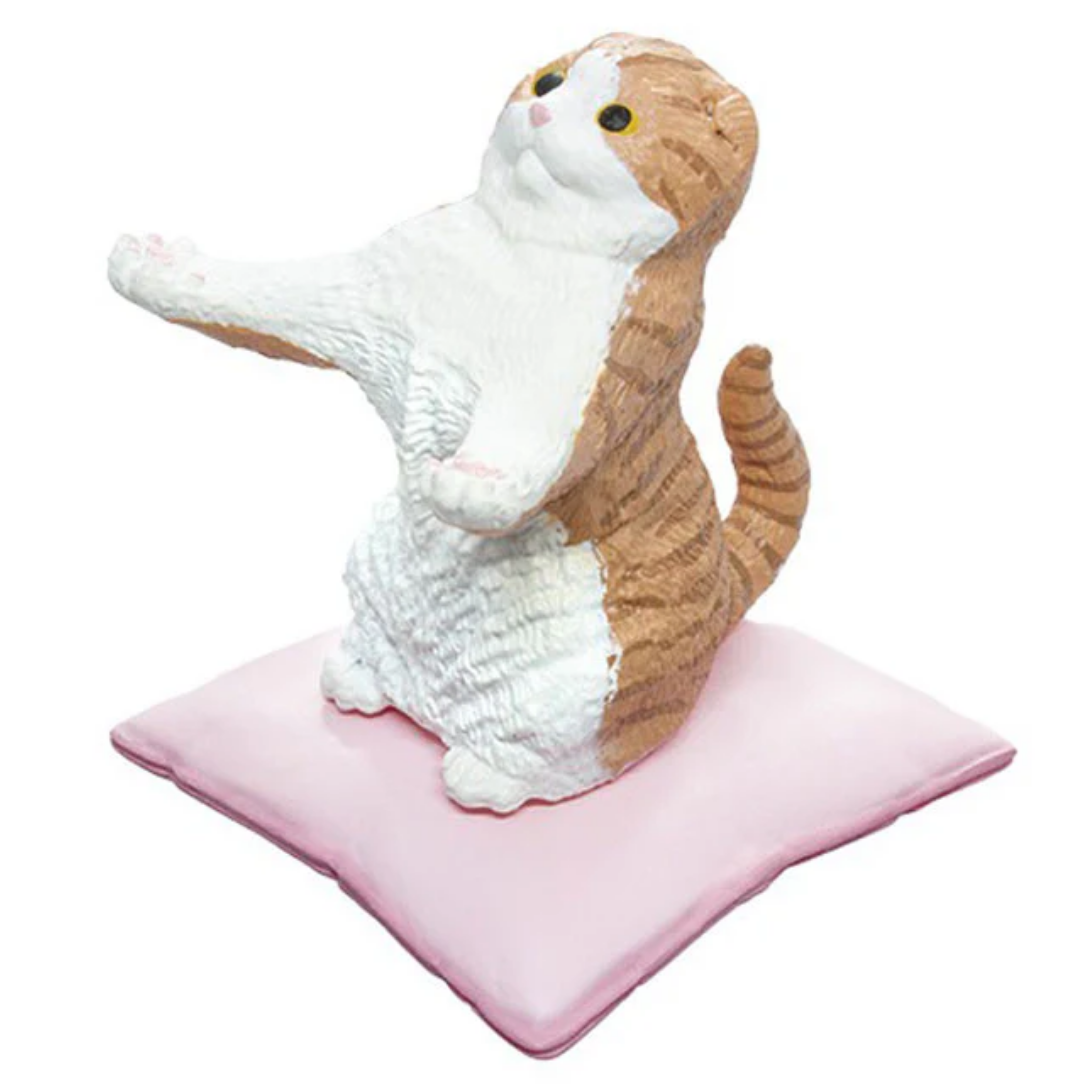 The Cat Will Hold It For You – Random cat Holder Figure box