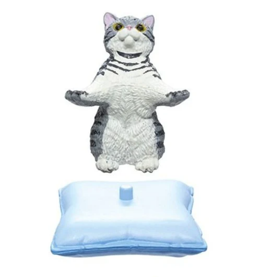 The Cat Will Hold It For You – Random cat Holder Figure box