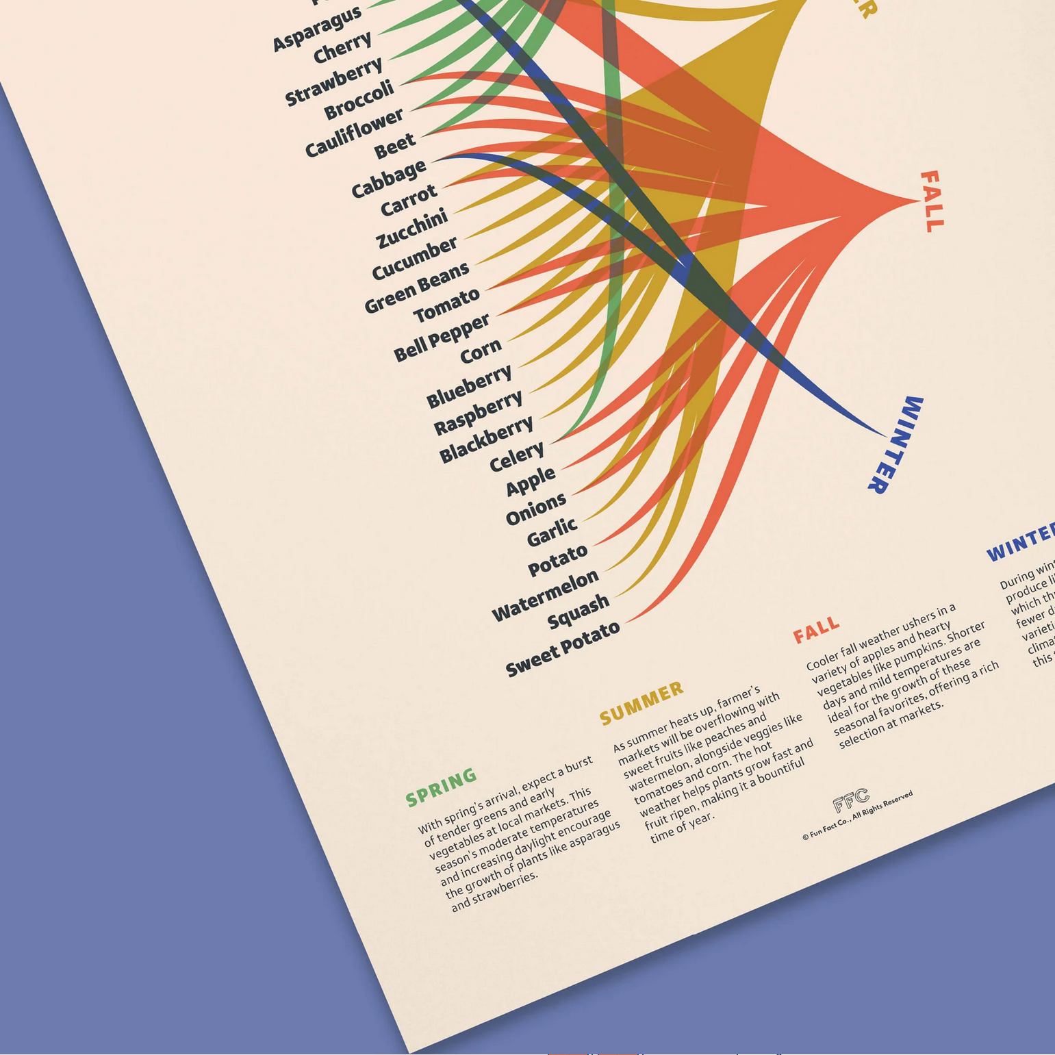 Colorful diagram of vegetable growth cycles on a blue background