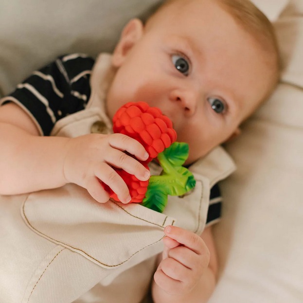 Baby holding a red and green toy, wearing a striped outfit.