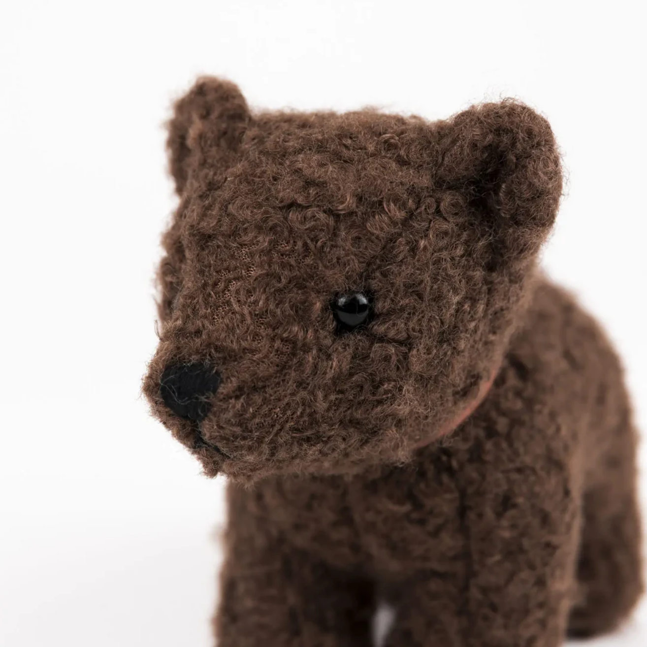 Brown teddy bear on a white background