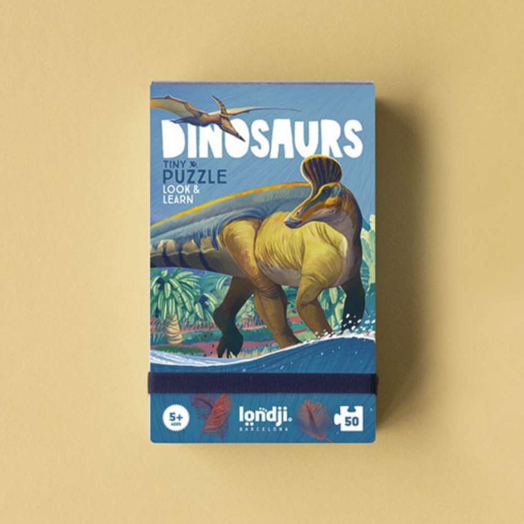 Dinosaurs puzzle box on a beige background
