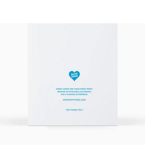 Big Thank You Greeting Card