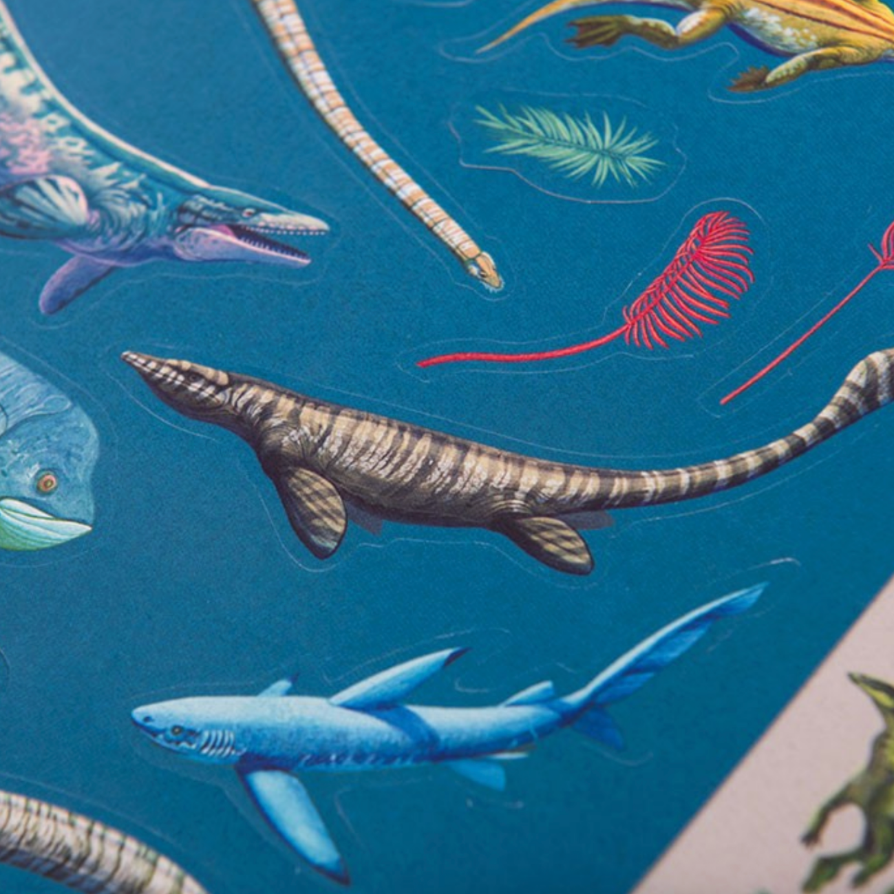 Illustrations of marine life on a blue background