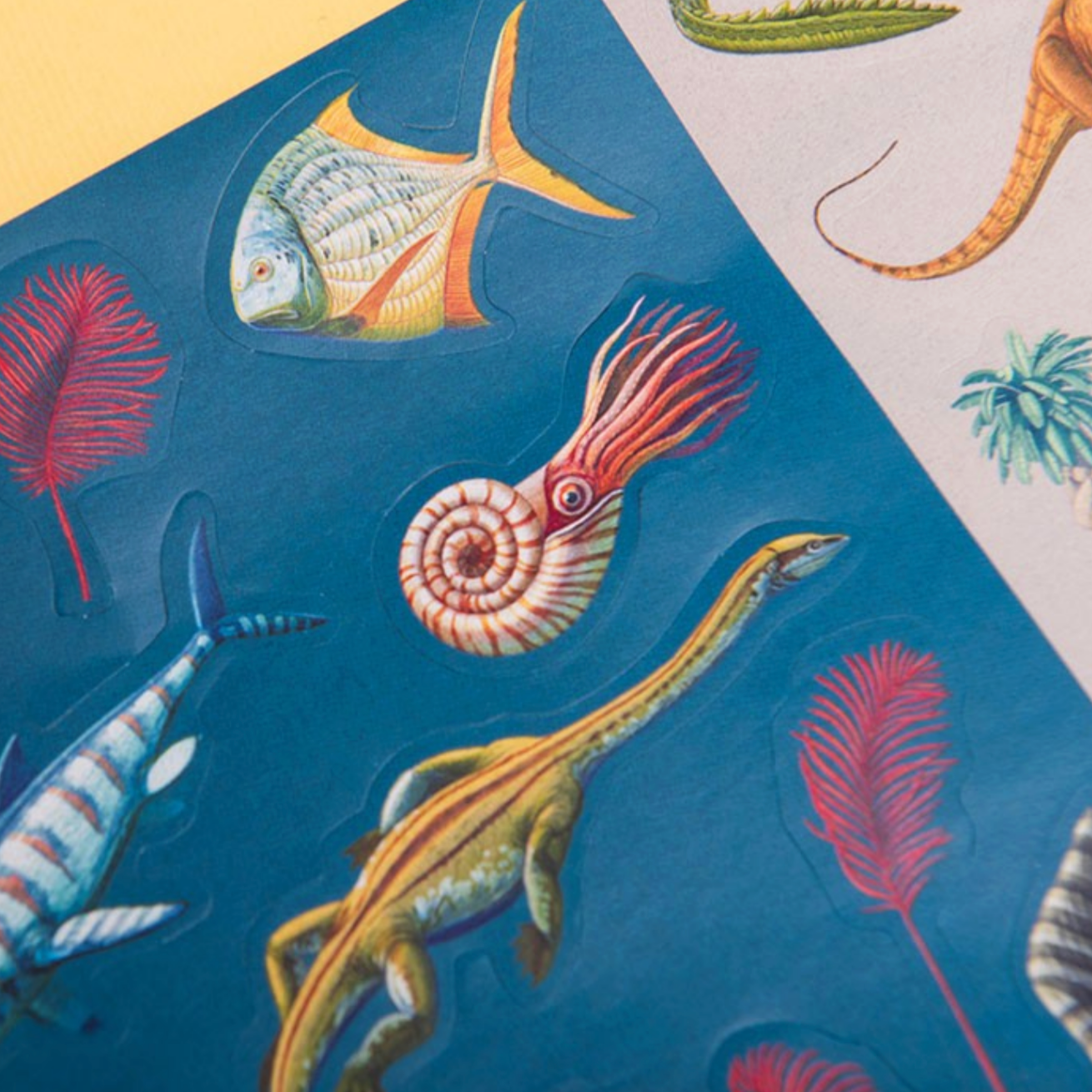 Colorful illustration of marine life on a blue background