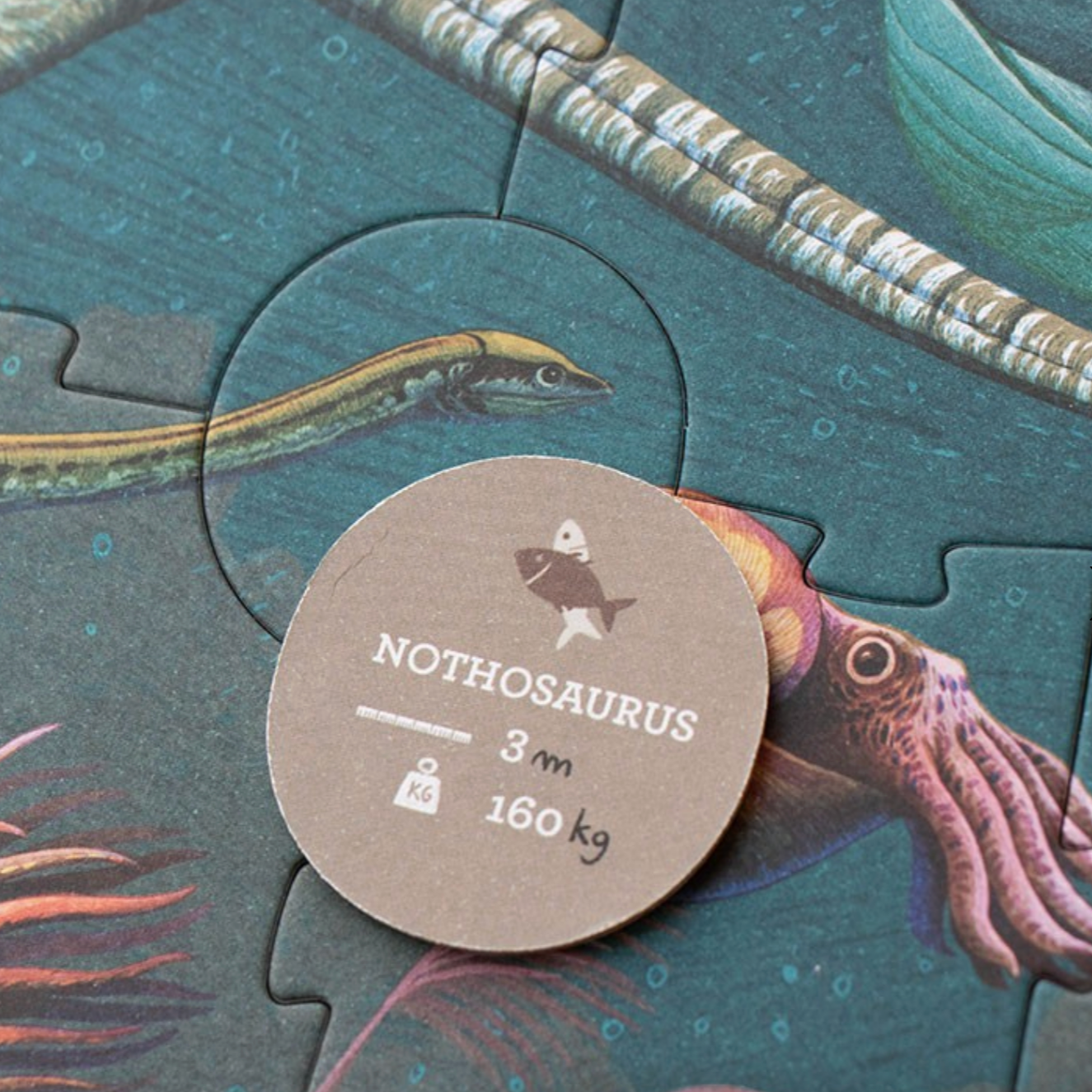 Jigsaw puzzle piece with a notosaurus illustration and information label.