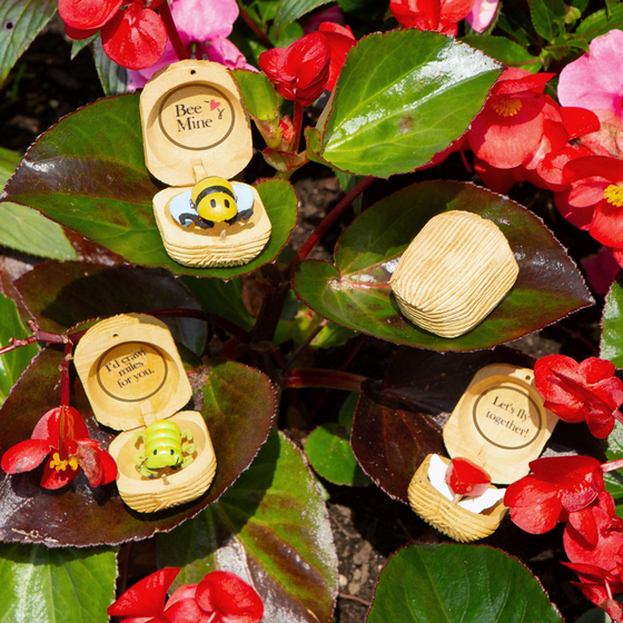Wooden bee-shaped rings in decorative boxes with floral background