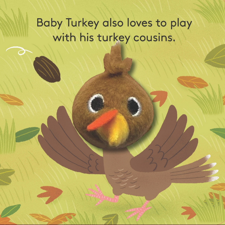 Illustration of a baby turkey with text about playing with turkey cousins on a green background with leaves.