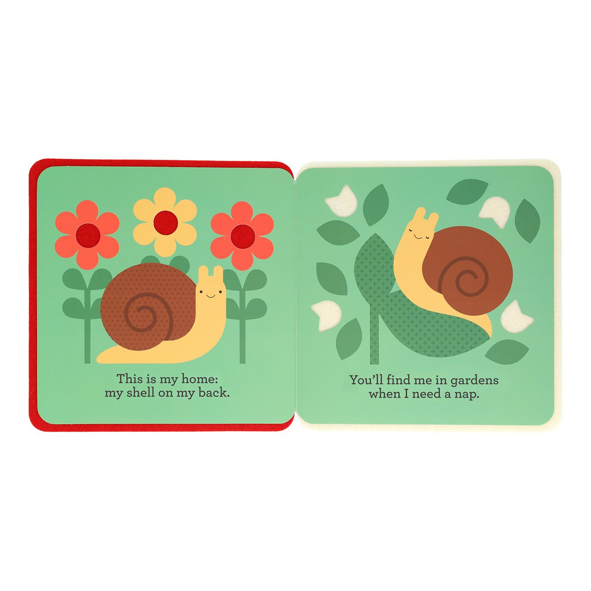 Illustrated book pages with snails and flowers on a white background