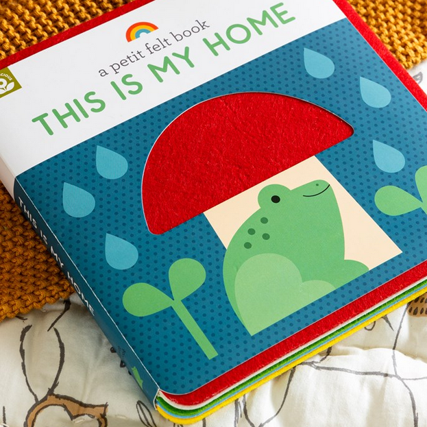 Children's felt book titled 'This is My Home' with a frog illustration on a textured surface.