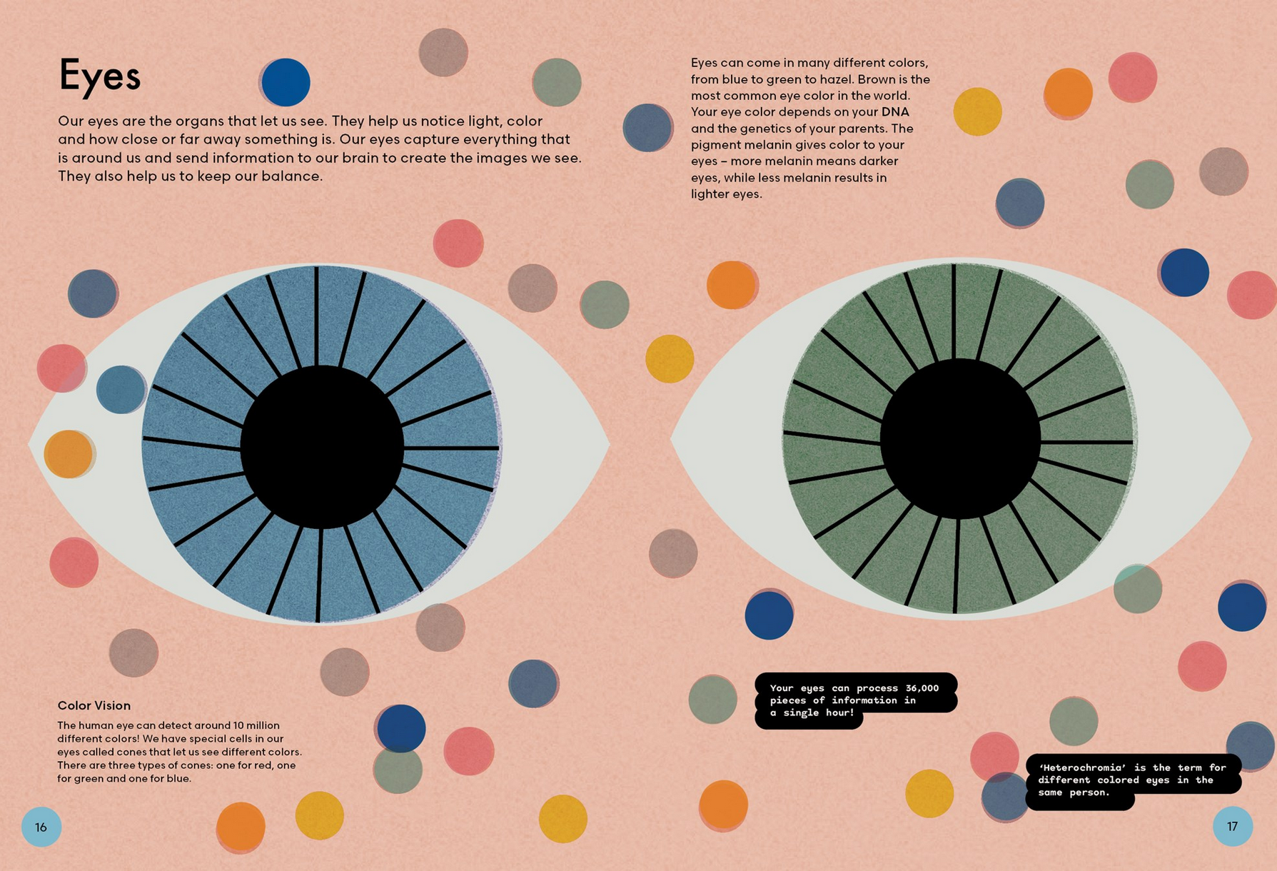 Illustration of two eyes with color vision explanation on a pink background