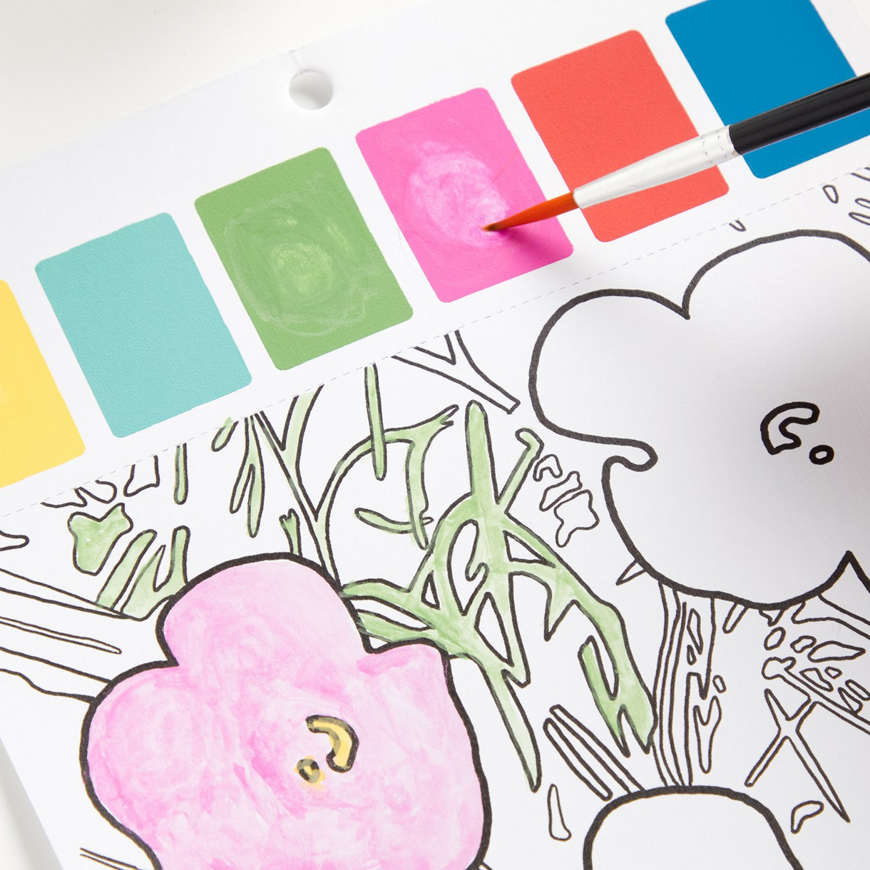 Color swatches and a coloring page with flowers and leaves.