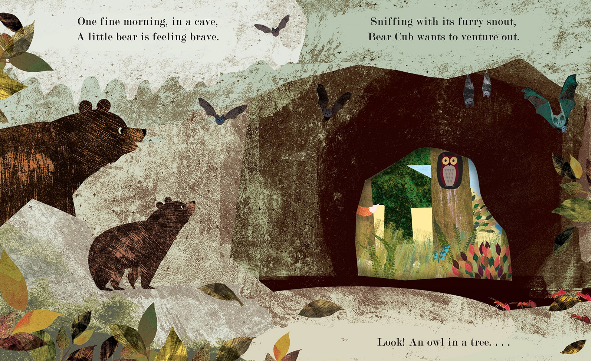 Illustration of a bear cub looking out from a cave entrance with an owl in a tree.