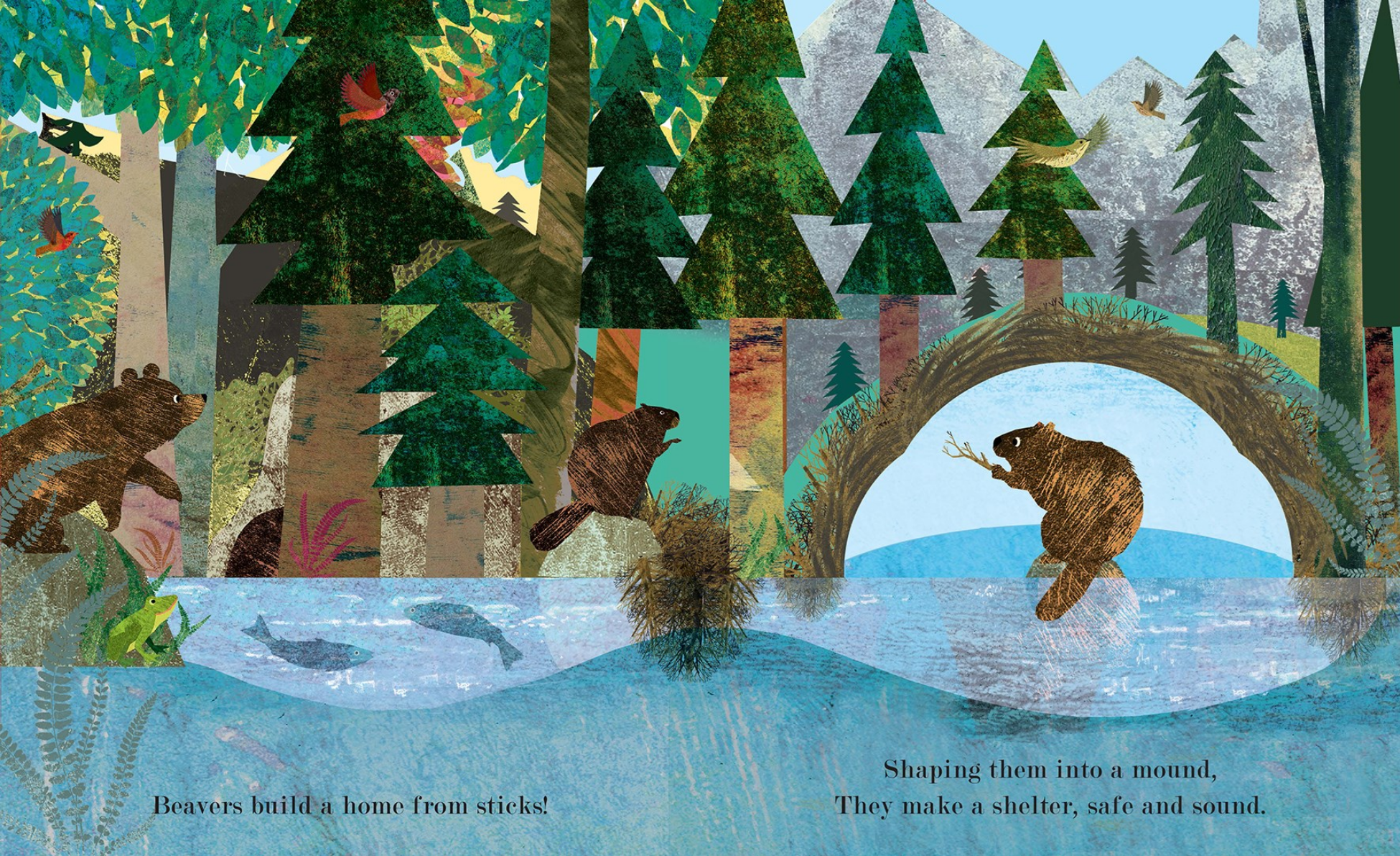 Illustration of a beaver building a home from sticks in a forest setting.