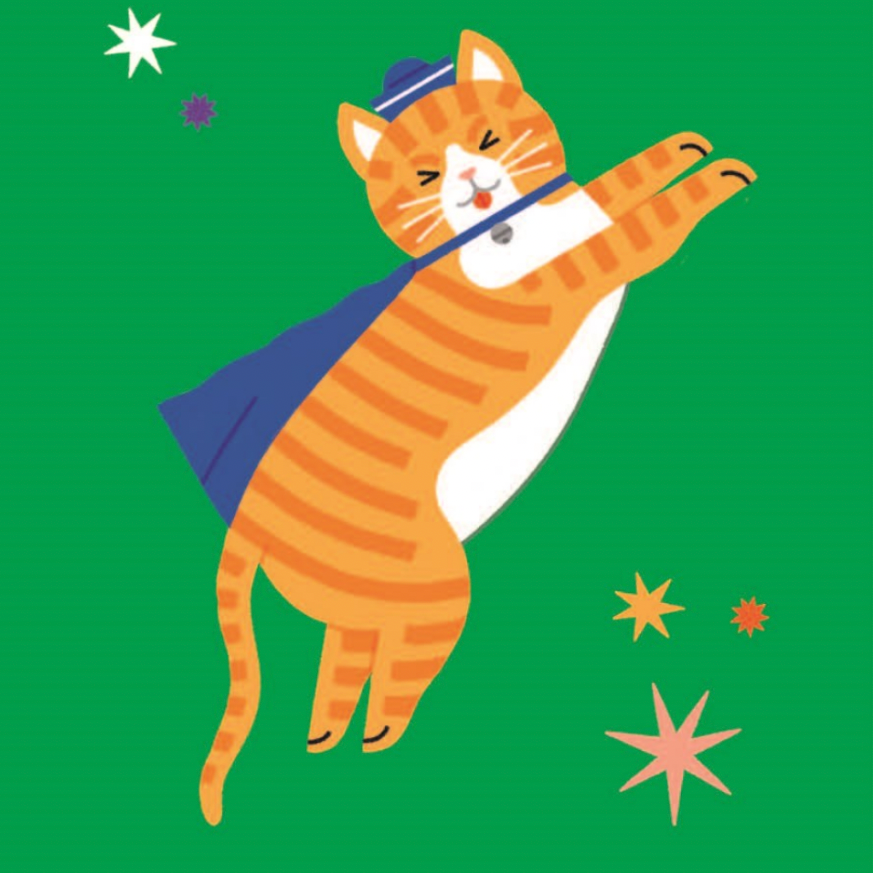 Illustration of a cat in a superhero costume on a green background with stars.