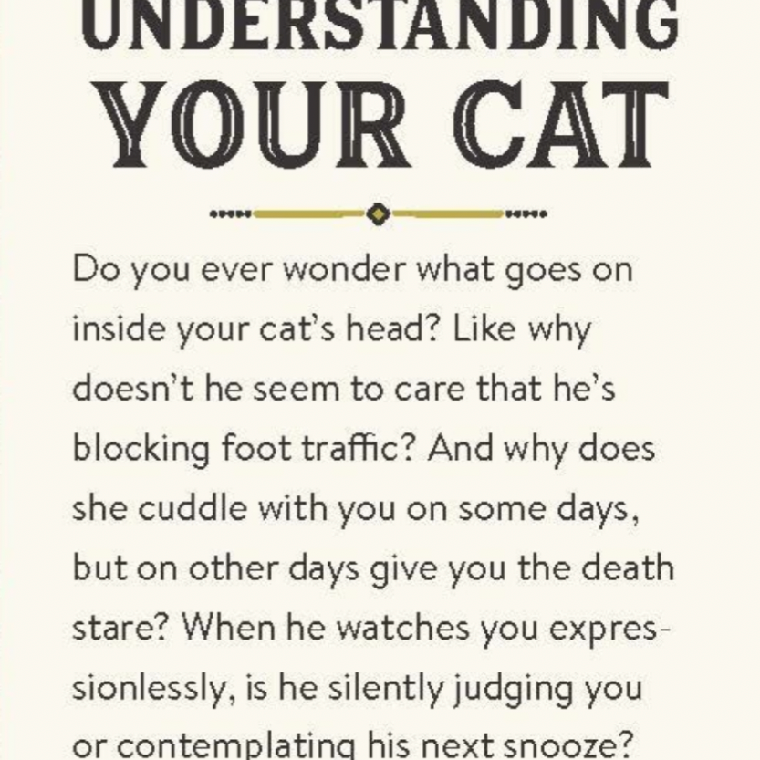Text overlay on a computer screen with a cat graphic, discussing cat behavior.