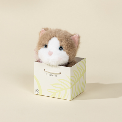 Plush toy cat in a small box on a beige background