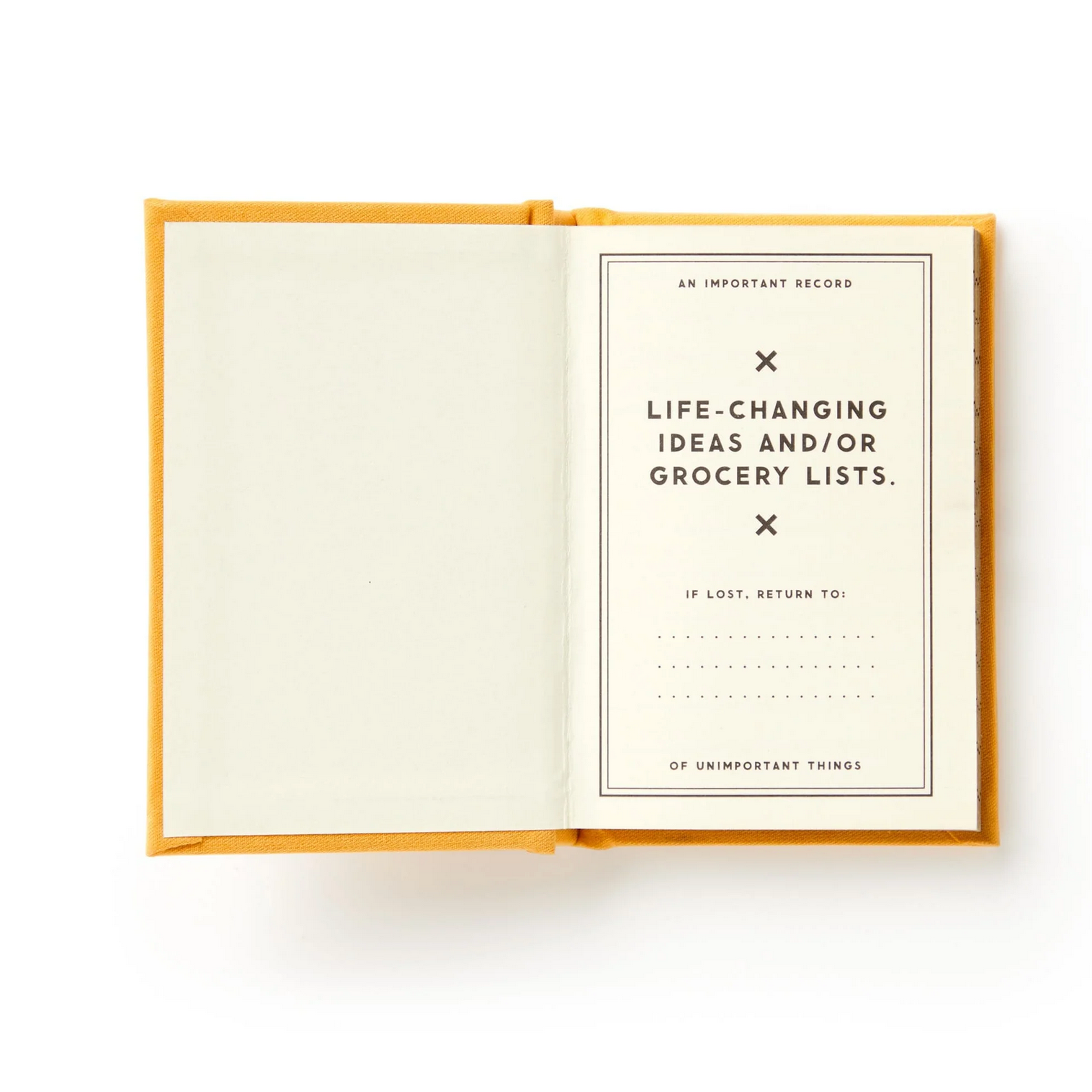 Open book with a page titled 'Life-Changing Ideas and/or Grocery Lists' on a white background