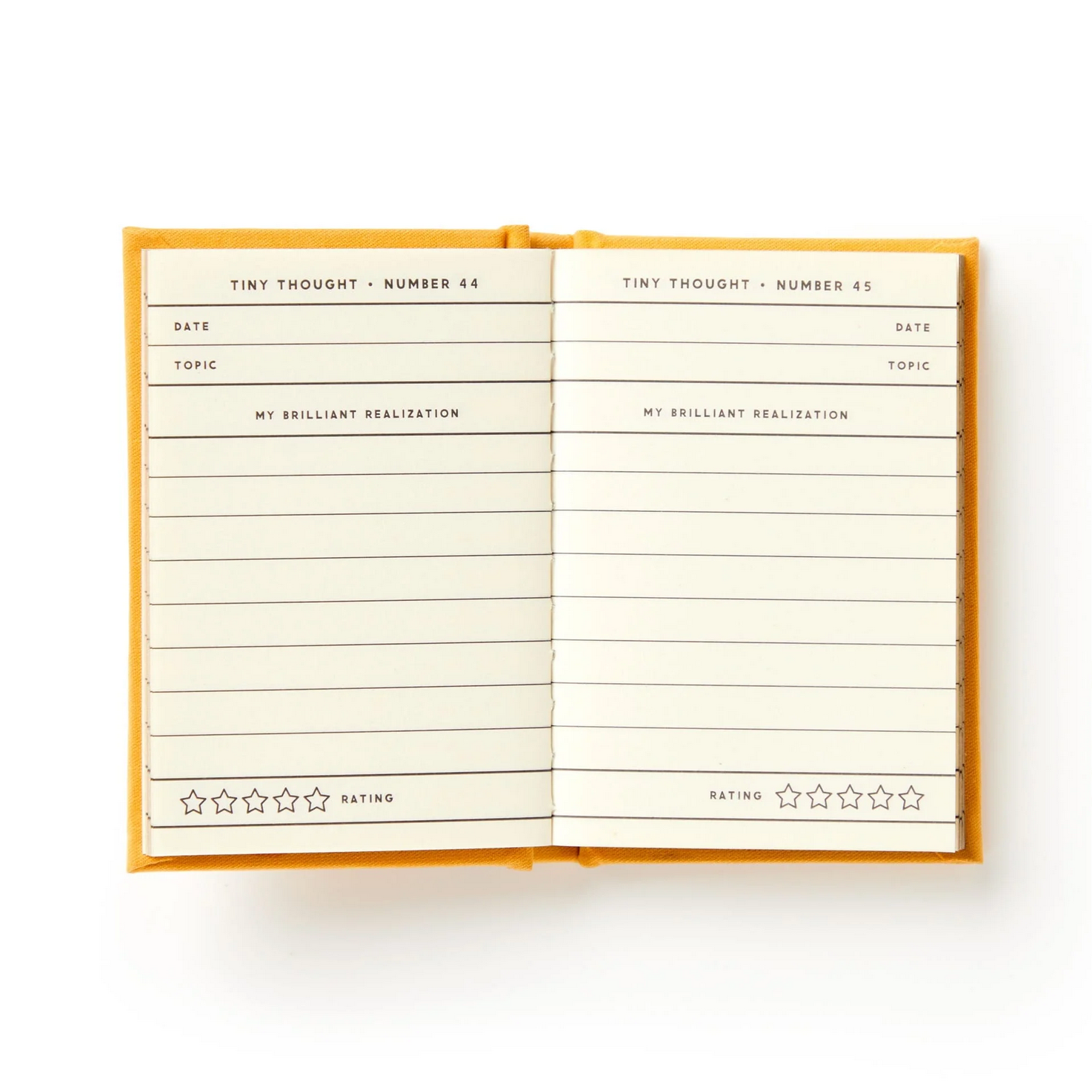 A Tiny Diary for Tiny Thoughts