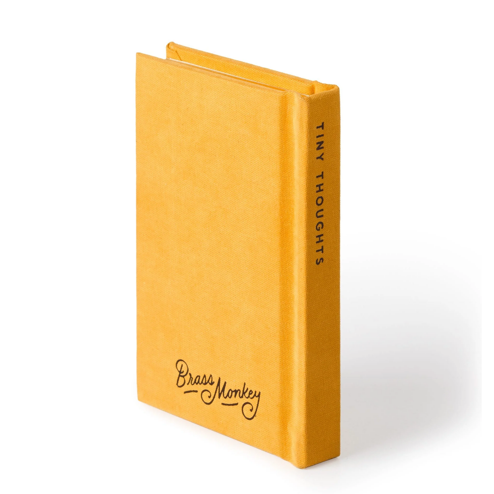 A Tiny Diary for Tiny Thoughts