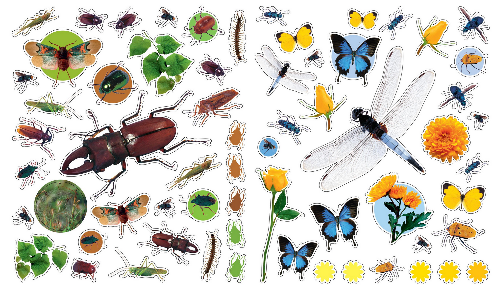 Collection of colorful insect and nature-themed stickers on a white background
