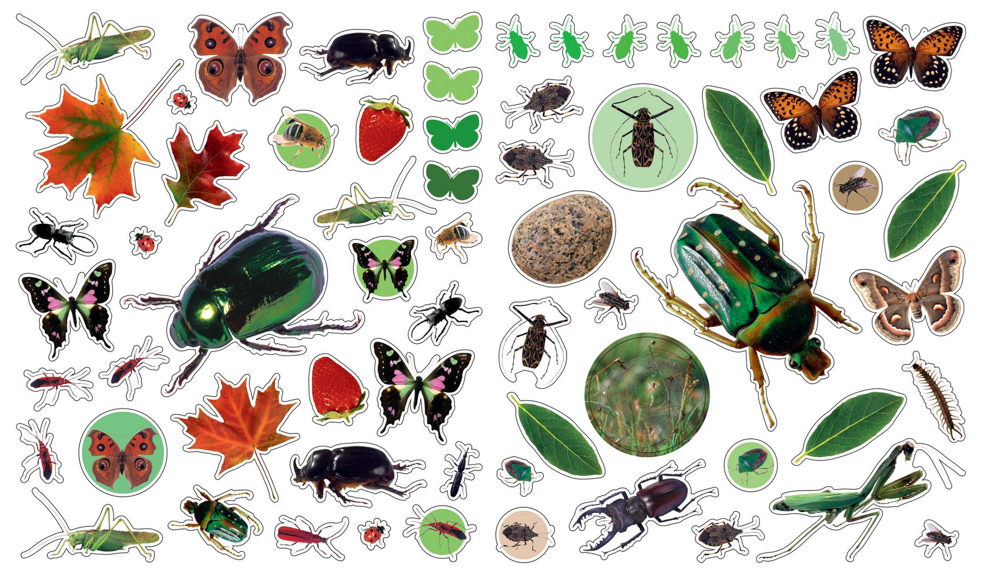 Collection of colorful insect and nature-themed stickers on a white background