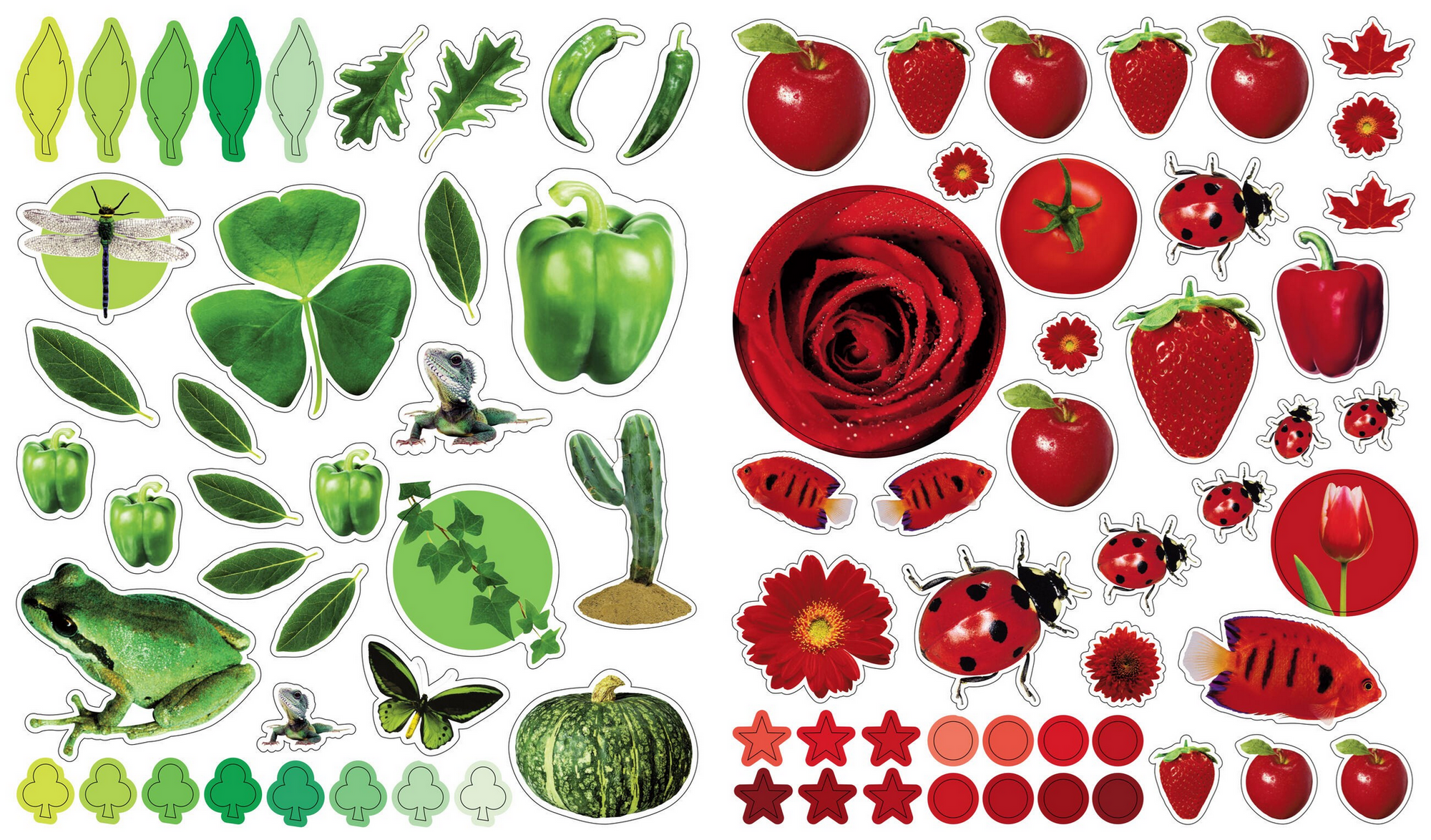 Eyelike Stickers: Colors